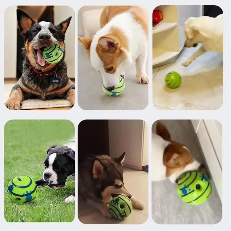 Balle-d-entra-nement-durable-pour-animaux-de-compagnie-son-amusant-jouets-interactifs-pour-chiens-livres-1