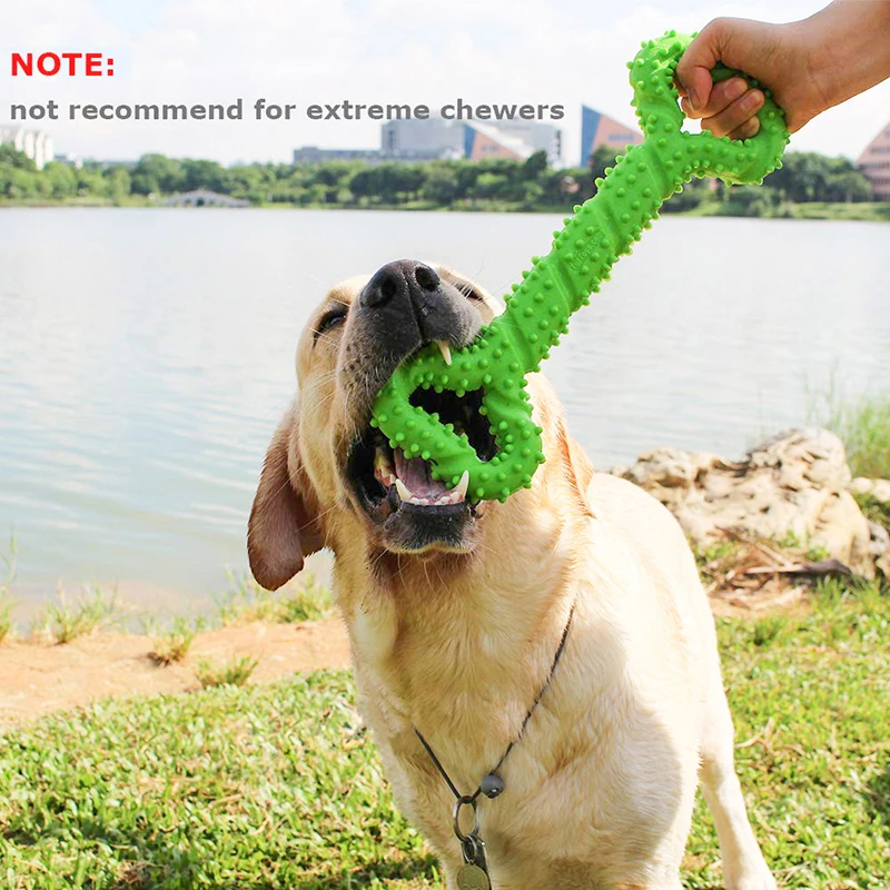Benepaw-jouets-m-cher-interactifs-pour-chiens-de-taille-moyenne-et-grande-nettoyage-des-dents-s-4