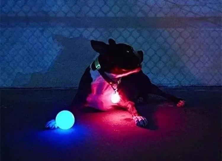 Boule-lumineuse-LED-pour-chien-jouet-m-cher-Transformation-color-e-fournitures-pour-chiots-2