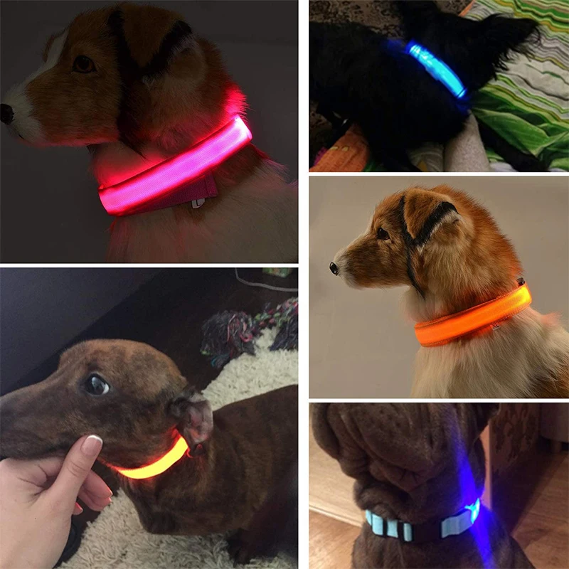 Collier-de-chien-lumineux-LED-aste-collier-de-chien-Shoous-tanche-collier-de-veilleuse-r-glable-4