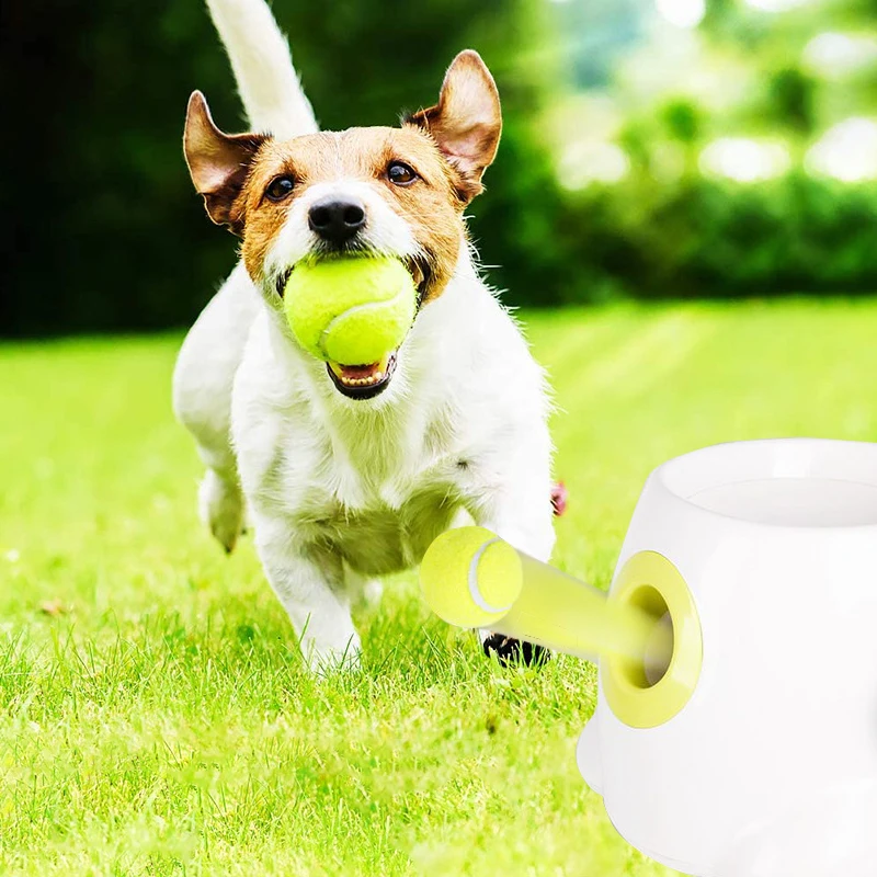 Jouet-coule-de-tennis-pour-animaux-de-compagnie-balle-m-cher-pour-chien-lancer-balle-haute-1