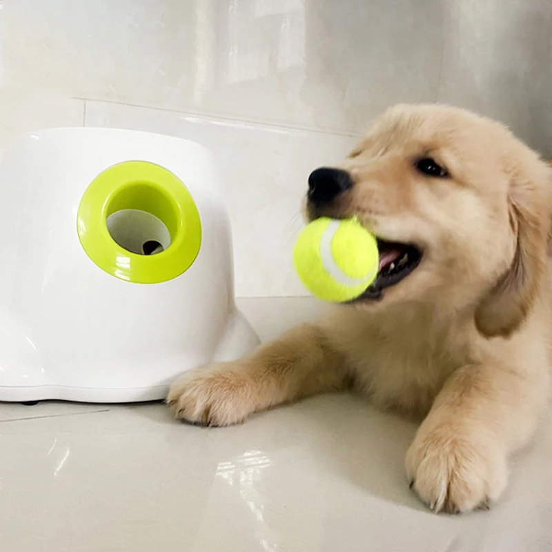 Lanceur-de-balles-de-tennis-automatique-pour-animaux-de-compagnie-catapulte-pour-chiens-jouet-pour-chien-2