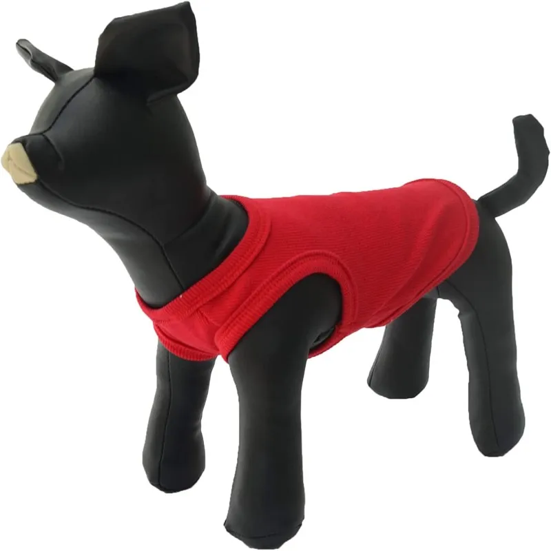 Pawstrip-Mannequin-de-chien-en-cuir-position-debout-mod-les-de-chien-affichage-PetShop-pour-v-1