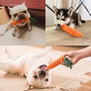 Jouet corde carotte à mâcher pour chien – photo 2
