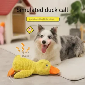 Peluche canard couineuse pour chien – photo 2