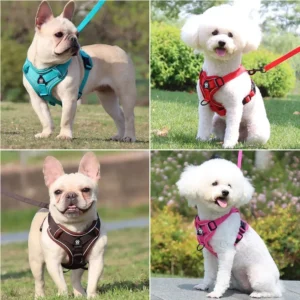 Ensemble harnais et laisse 1,5 m pour petit chien – photo 2