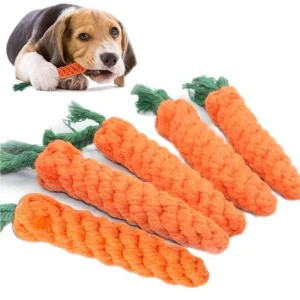 Jouets & occupation
