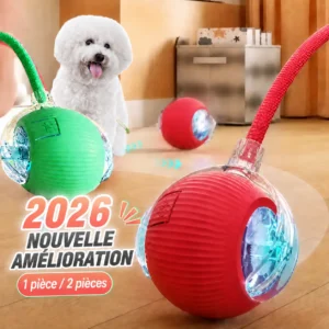 Balle interactive automatique pour chien