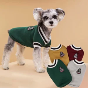 Vêtements pour chien